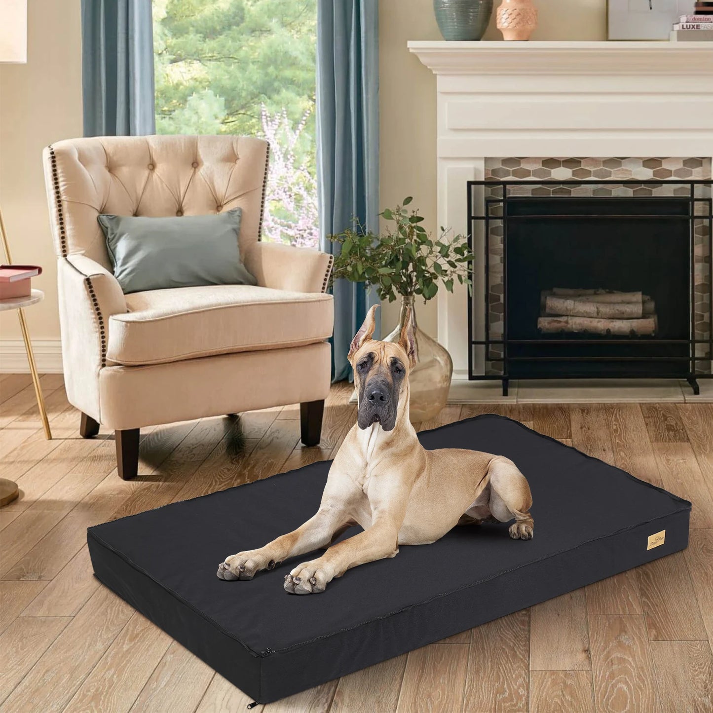 Comfortable Orthopedic Foam Dog Bed