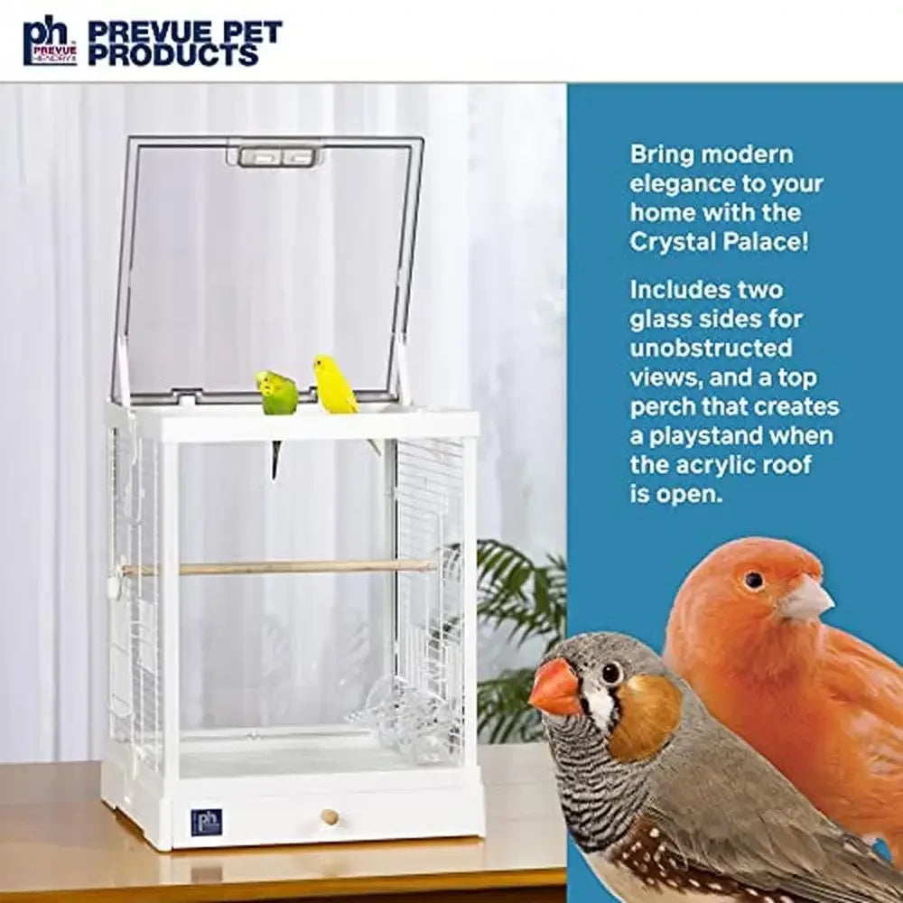 Glass Bird Cage Small Birds with Toy Hanger Ideal Tabletop