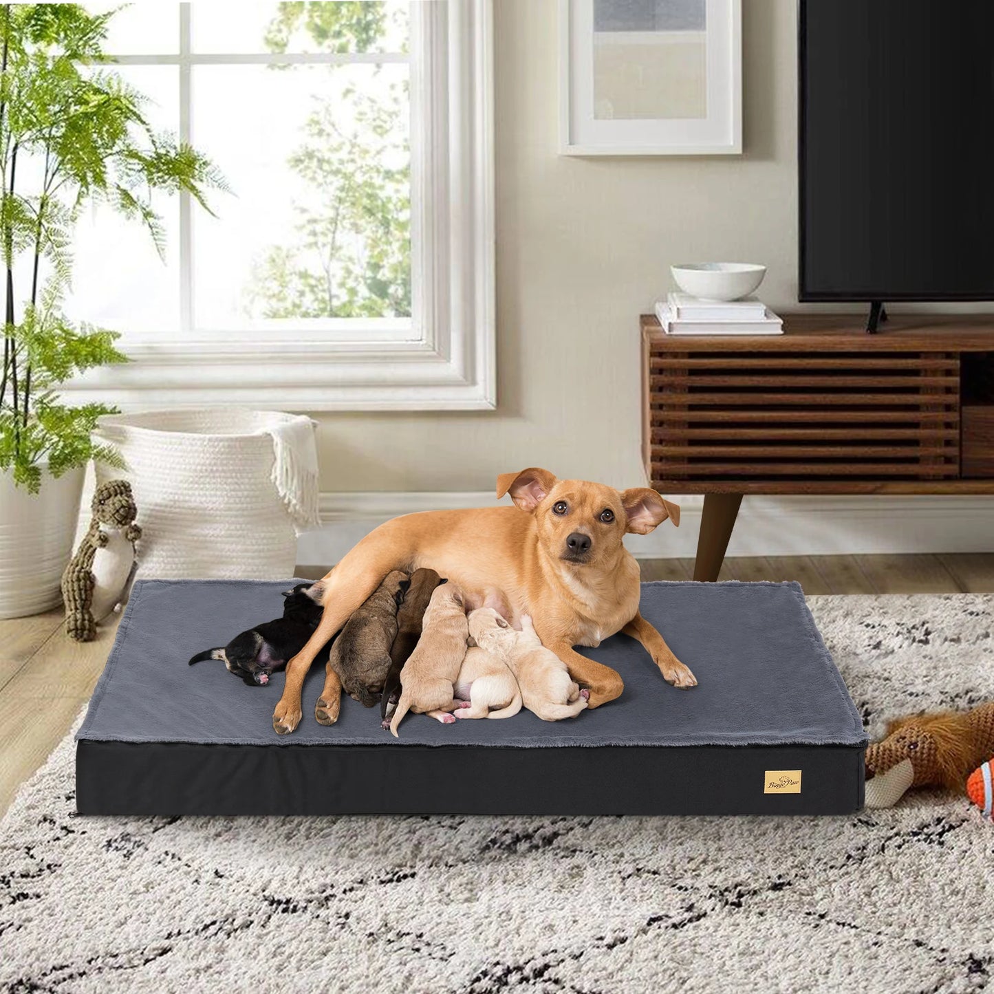 Comfortable Orthopedic Foam Dog Bed