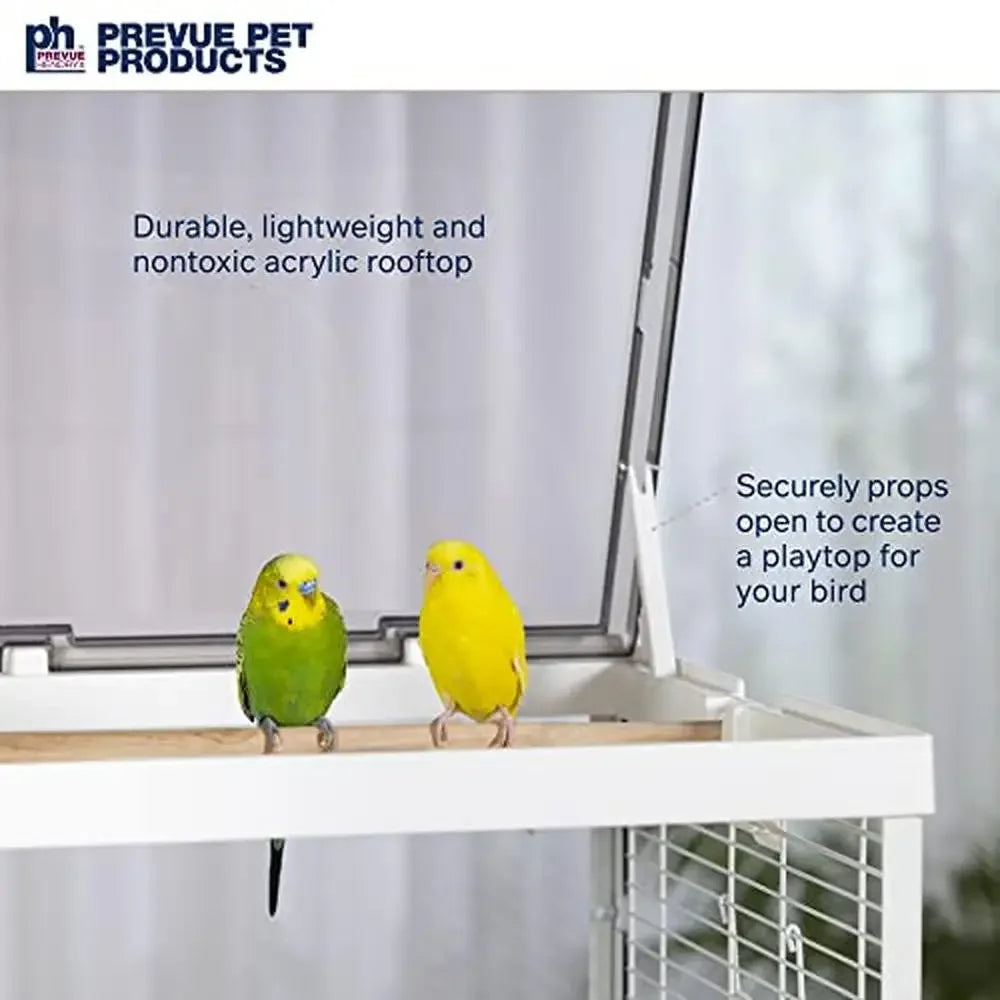 Glass Bird Cage Small Birds with Toy Hanger Ideal Tabletop