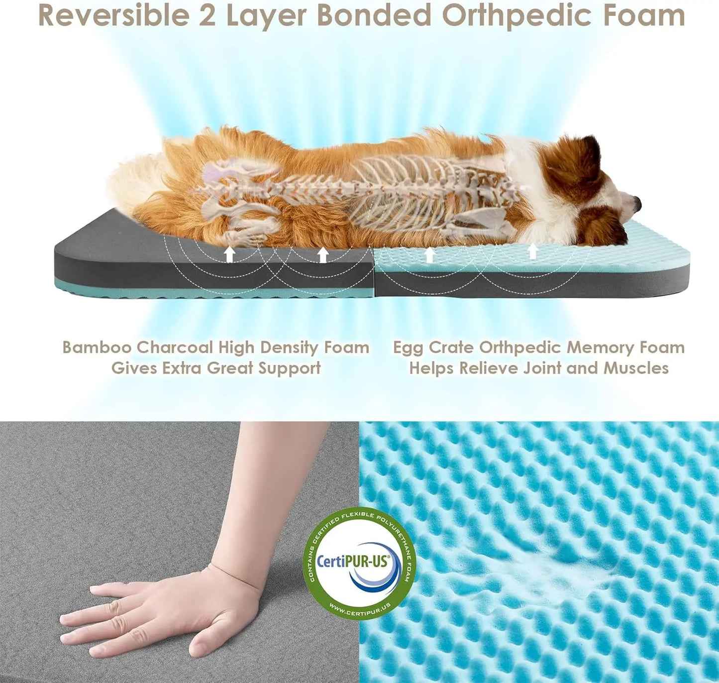 Foldable Human Dog Bed for Adult, Orthopedic Memory Foam Dog Bed