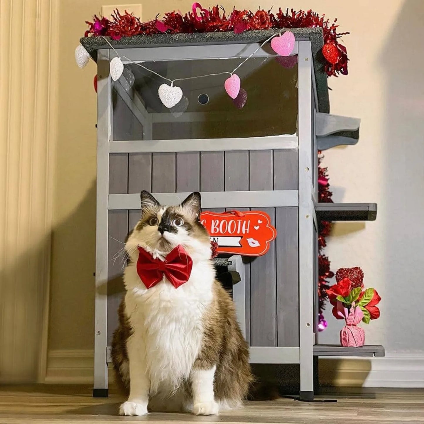 US Feral Cat Shelter 2-Room Outdoor Cat House for Rescued Cats