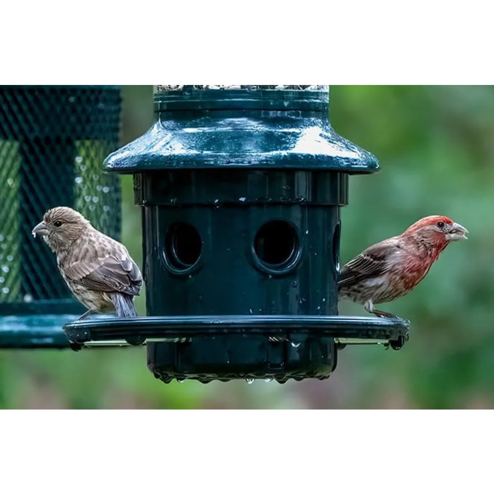 Squirrel-proof Bird Feeder