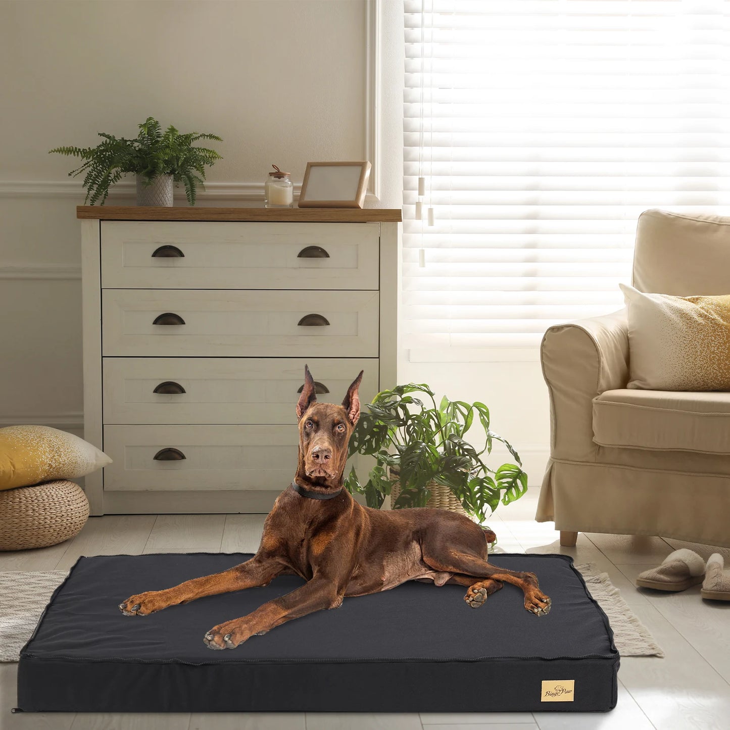 Comfortable Orthopedic Foam Dog Bed