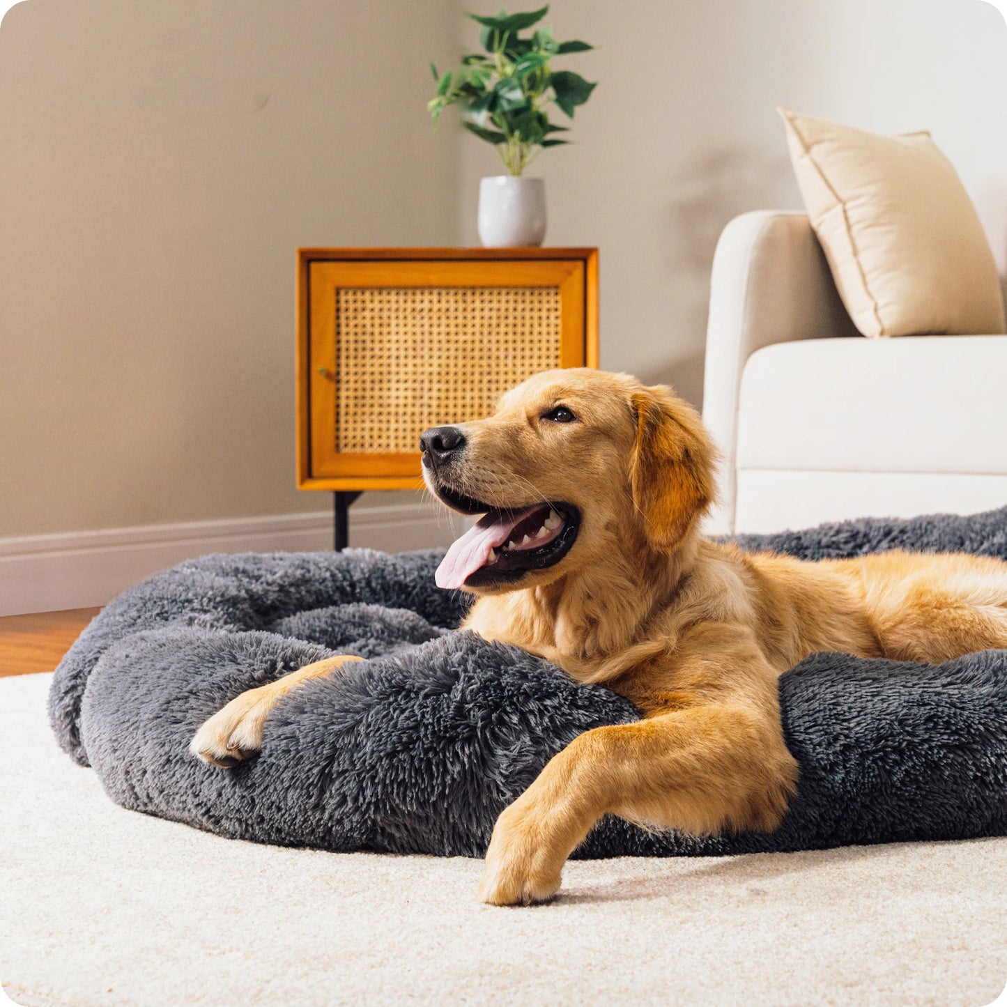 Size M-XL Dog Bed Mat Dog Cat Sofa