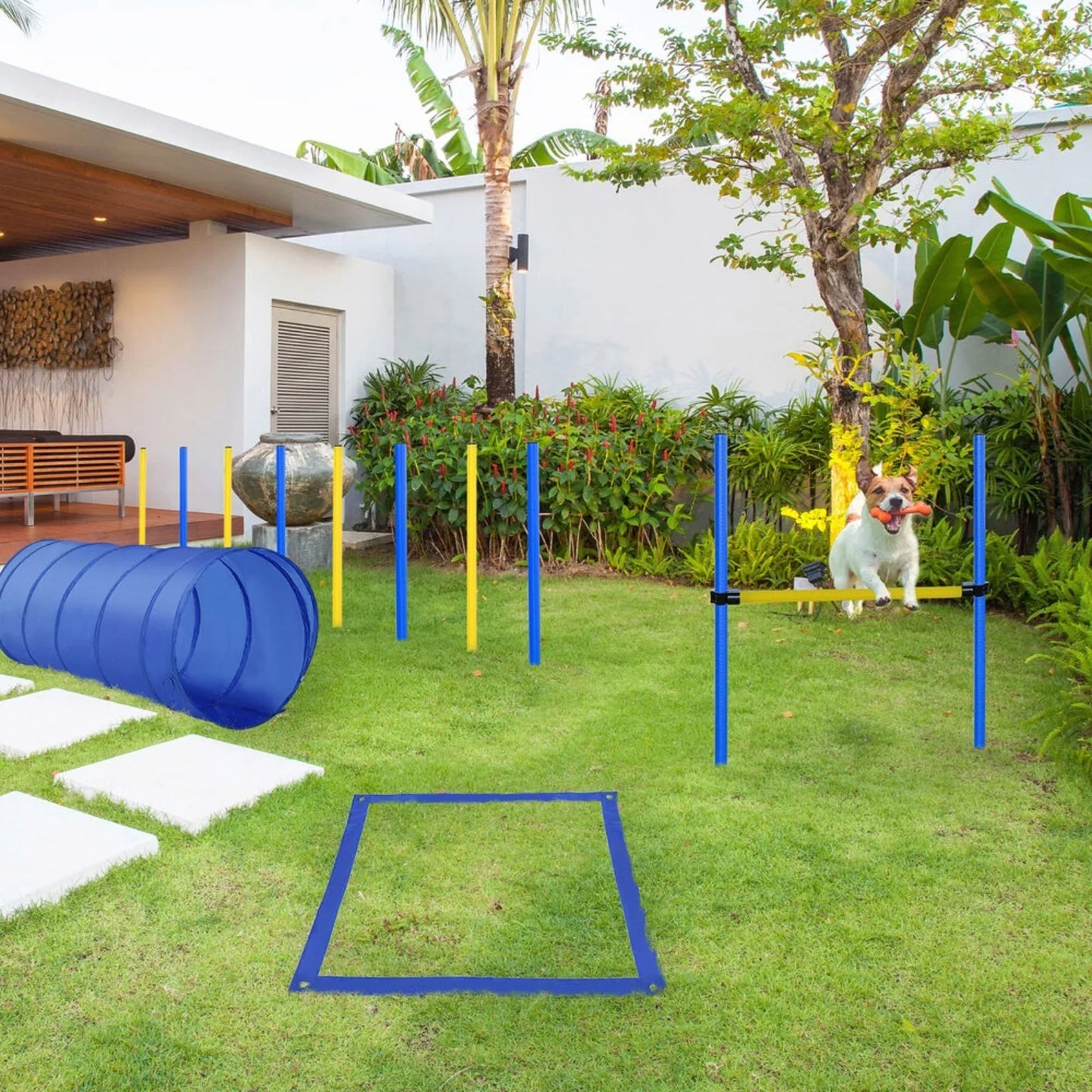 US Backyard Dog Agility Training Kit Obstacle Course Equipment Jump Tunnel -
