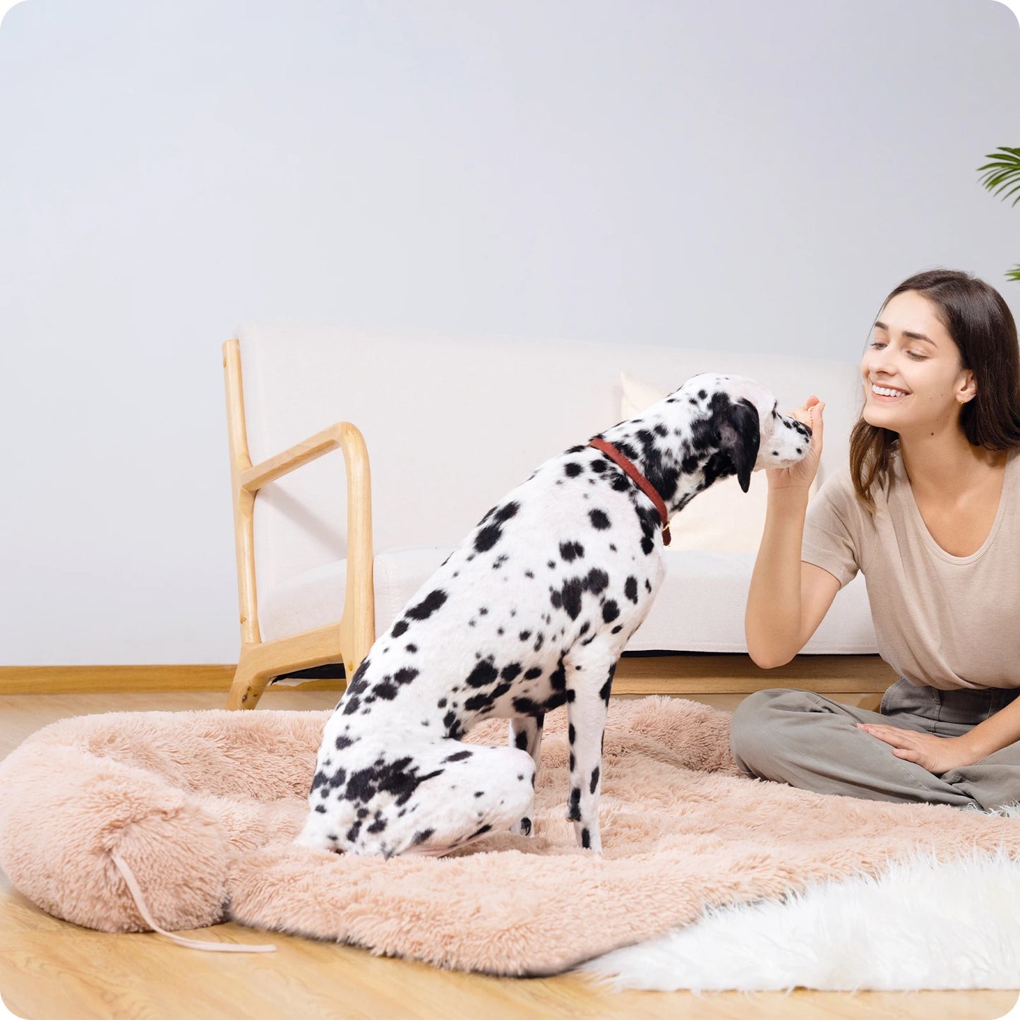 Size M-XL Dog Bed Mat Dog Cat Sofa
