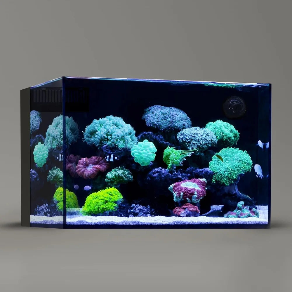 Fish Tanks Ultra Transparent All Glass Frameless